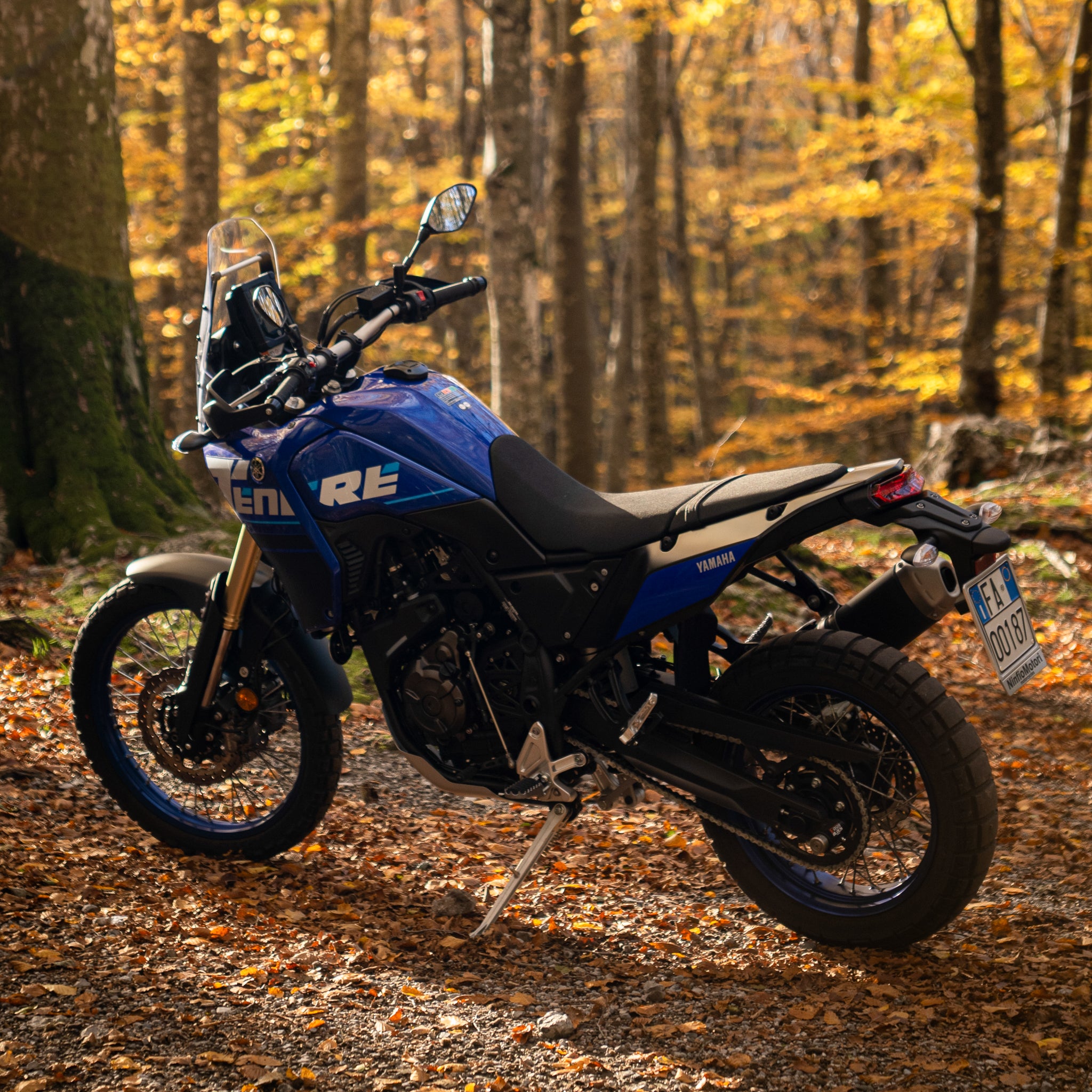 Yamaha Tenere 700-2024-EasyBlock Motorcycle-Forest Trail ride Blue