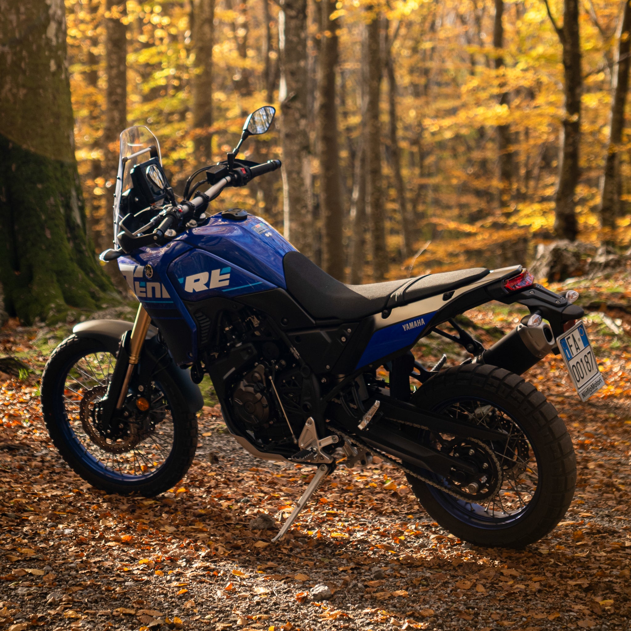 Yamaha Tenere 700-2025-EasyBlock Motorcycle-Forest Trail ride Blue